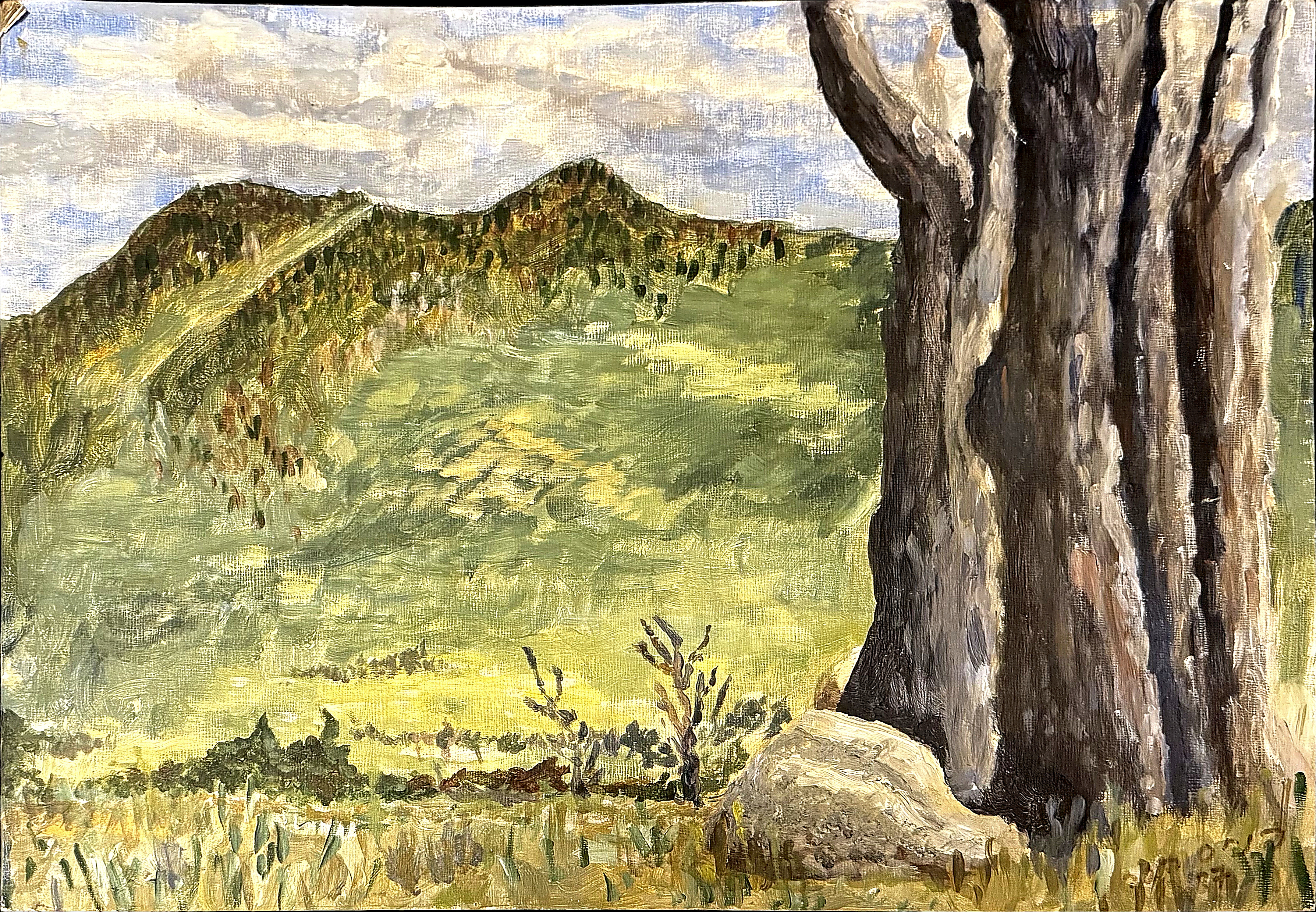 Tranquil Landscape
