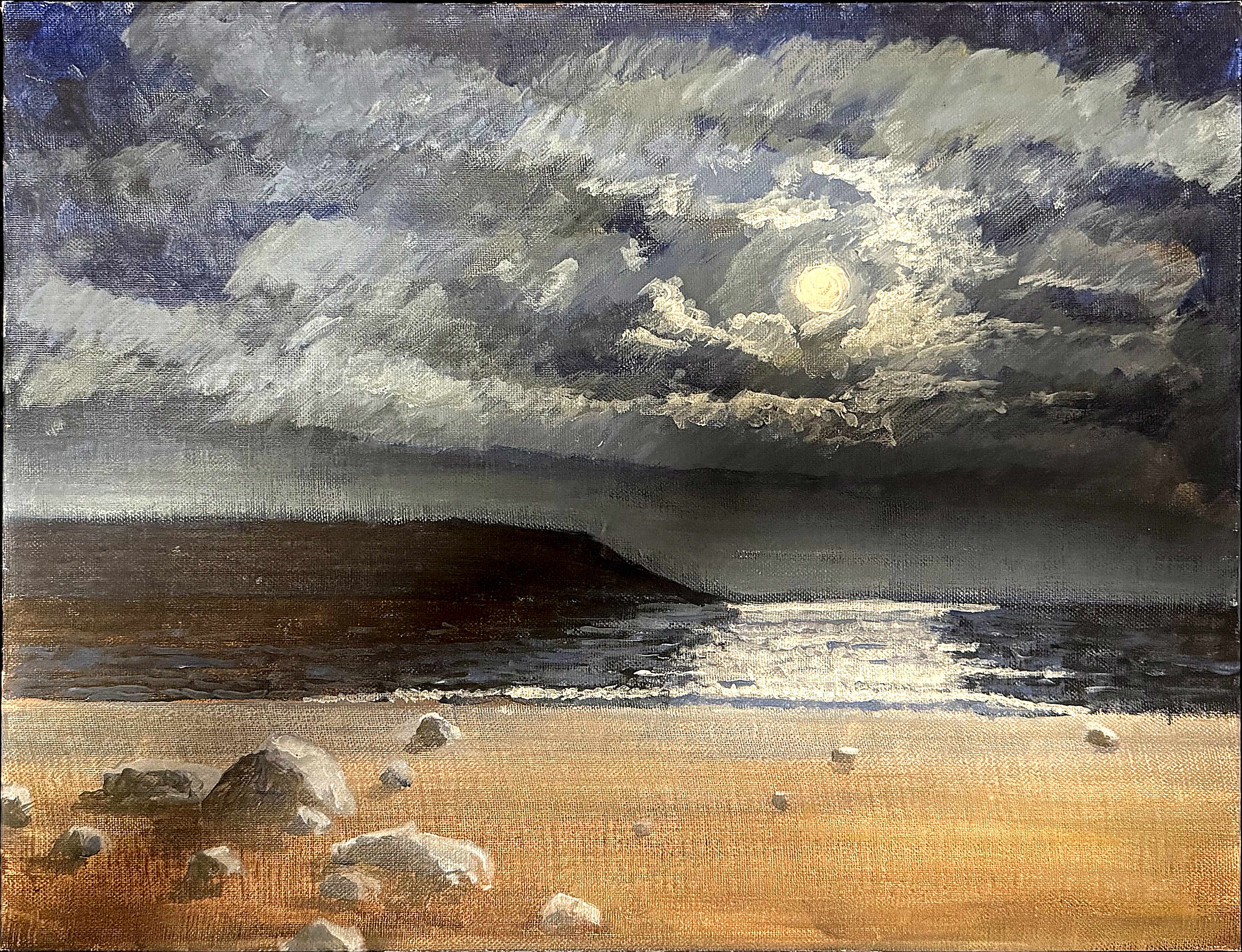 Moonlit Shoreline