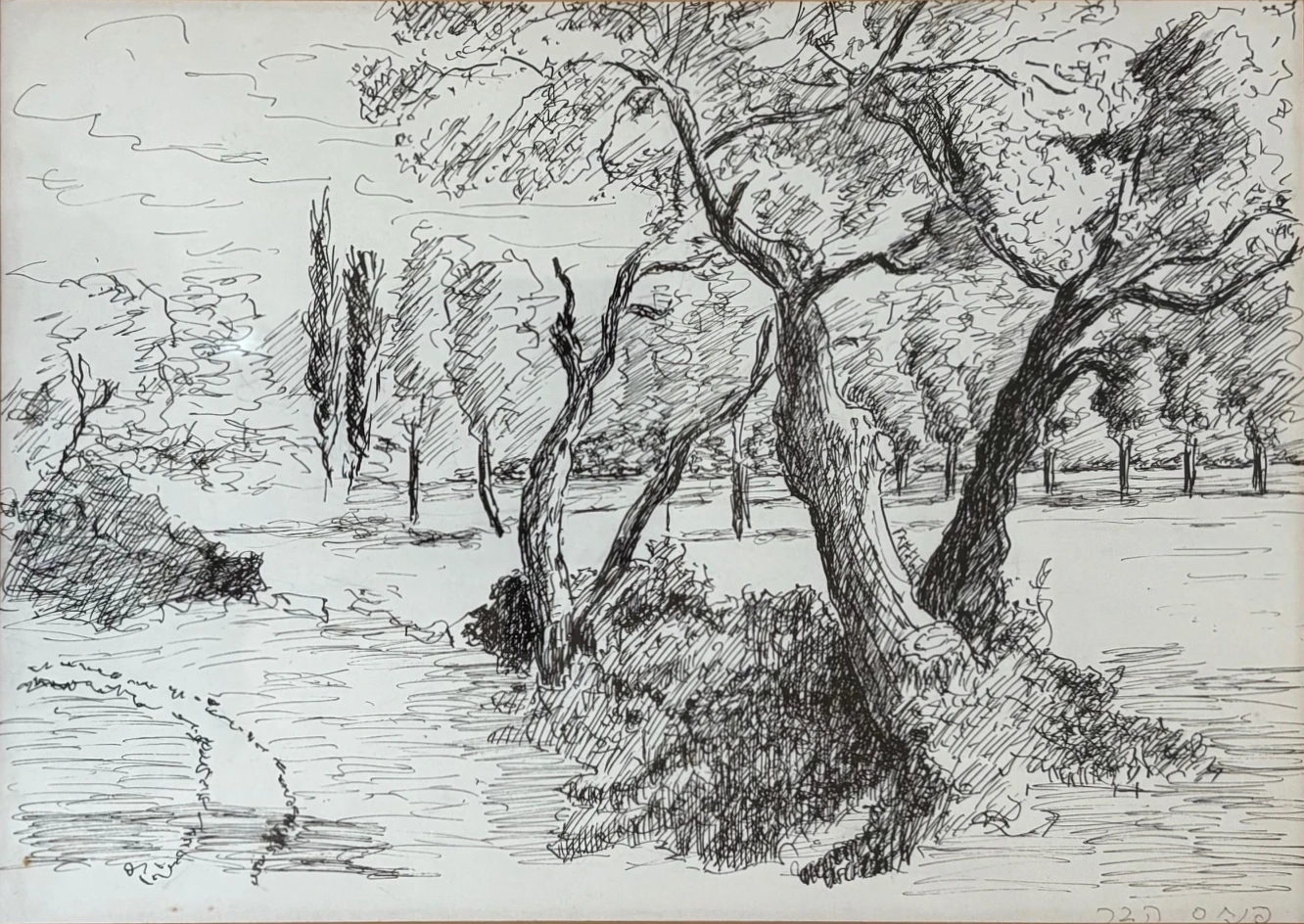Trees by the Riverbank